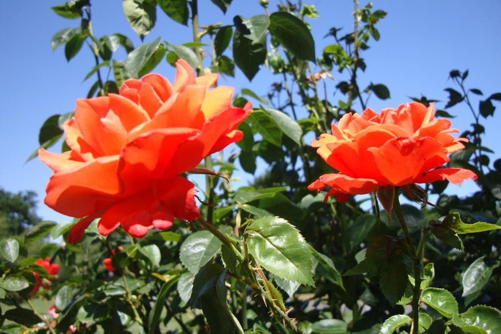 Pinfield Boutique Hotel Hedgerley Екстериор снимка